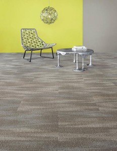 5T048_48761_FEATURE1