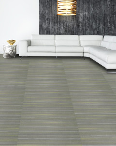 5T049_48531_FEATURE1SB