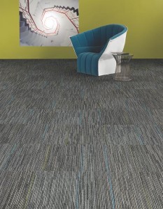 5T009_09505_FEATURE1