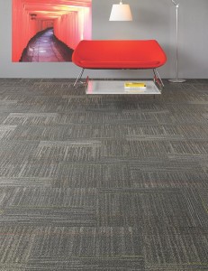 5T010_09585_FEATURE1