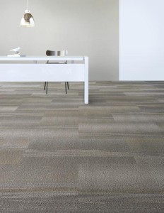 5T051_48530_FEATURE1