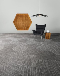 5T055_55518_FEATURE1