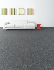 5T081_81557_FEATURE1