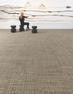 5T113_13111_FEATURE1