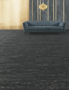 5T133_33505_FEATURE1